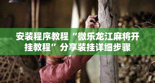 安装程序教程“微乐龙江麻将开挂教程”分享装挂详细步骤