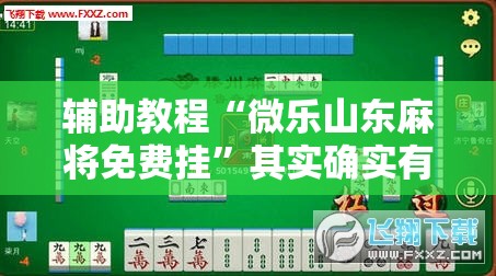 辅助教程“微乐山东麻将免费挂”其实确实有挂