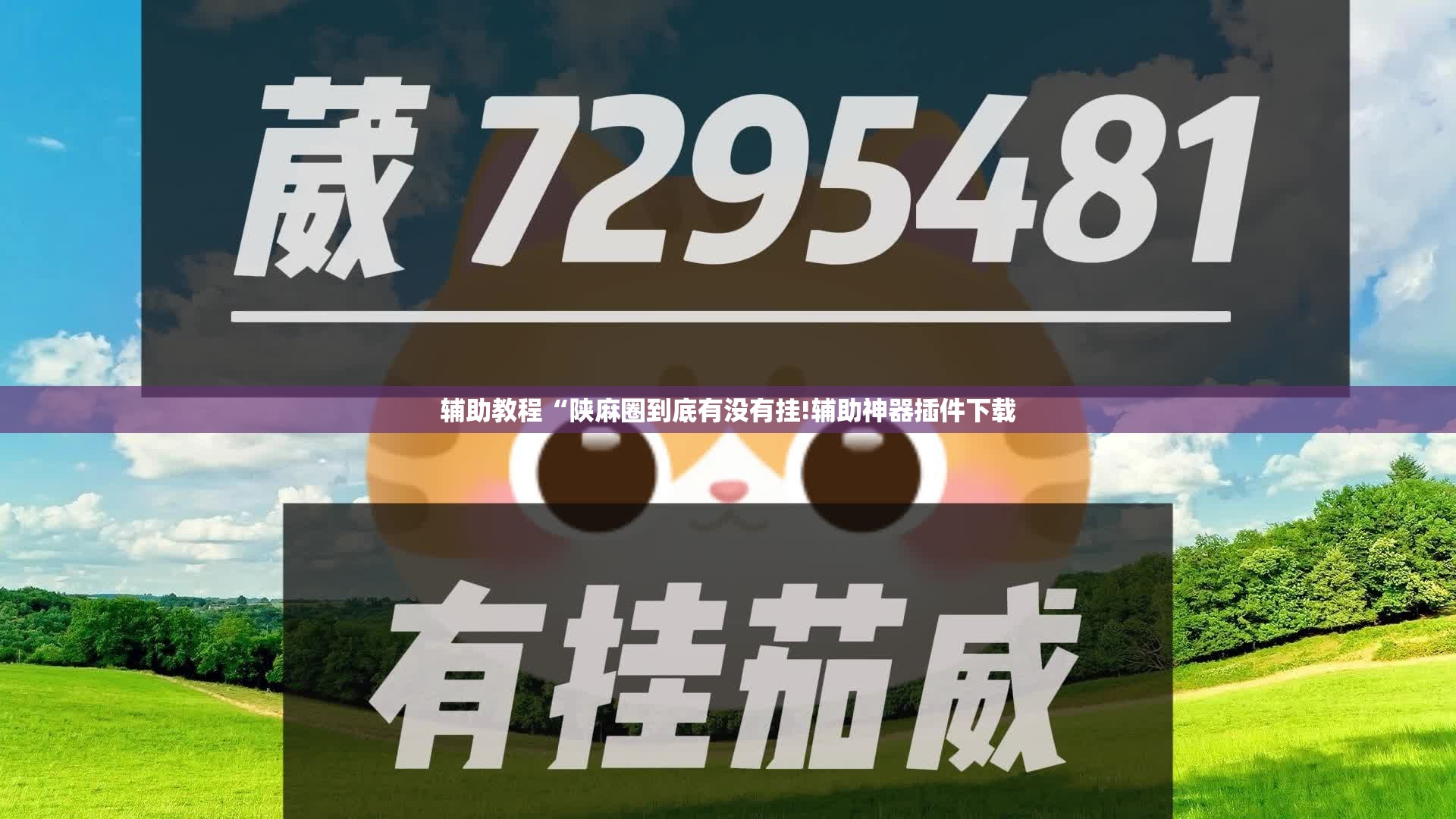 辅助教程“陕麻圈到底有没有挂!辅助神器插件下载