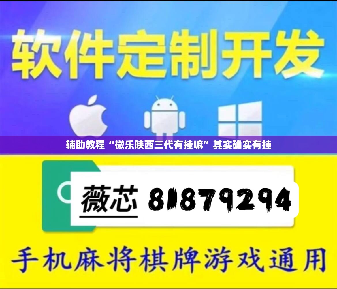 辅助教程“微乐陕西三代有挂嘛”其实确实有挂