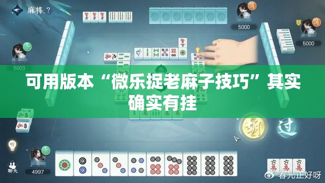 可用版本“微乐捉老麻子技巧”其实确实有挂