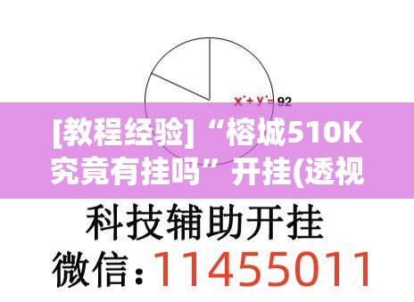 [教程经验]“榕城510K究竟有挂吗”开挂(透视)辅助神器