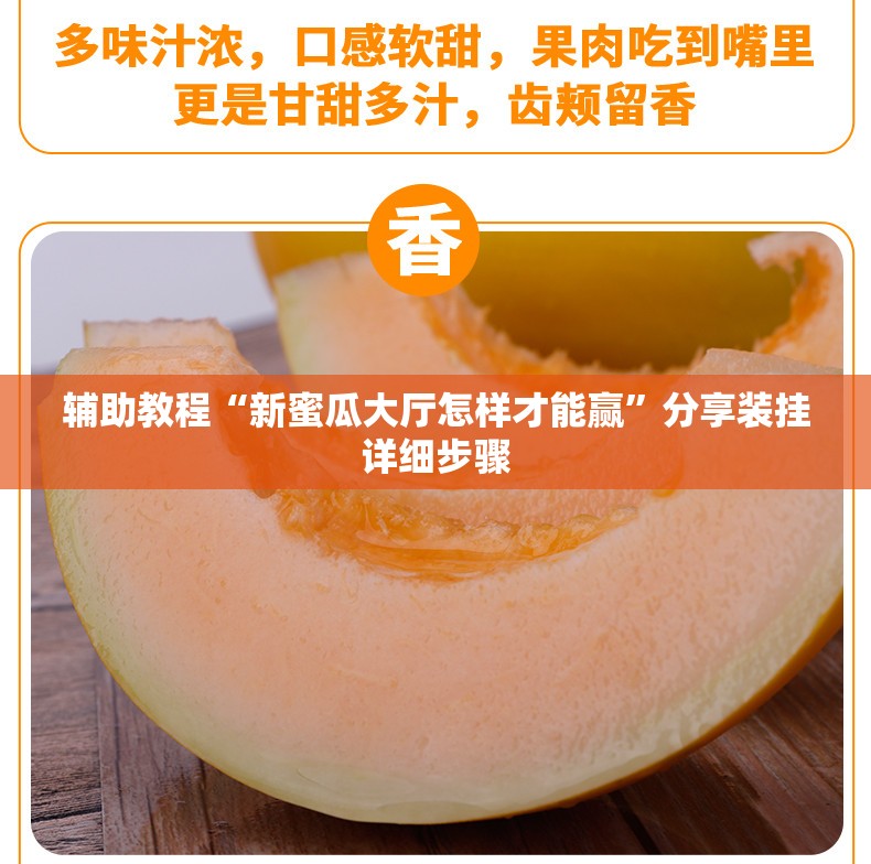 辅助教程“新蜜瓜大厅怎样才能赢”分享装挂详细步骤
