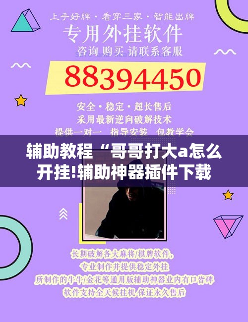 辅助教程“哥哥打大a怎么开挂!辅助神器插件下载