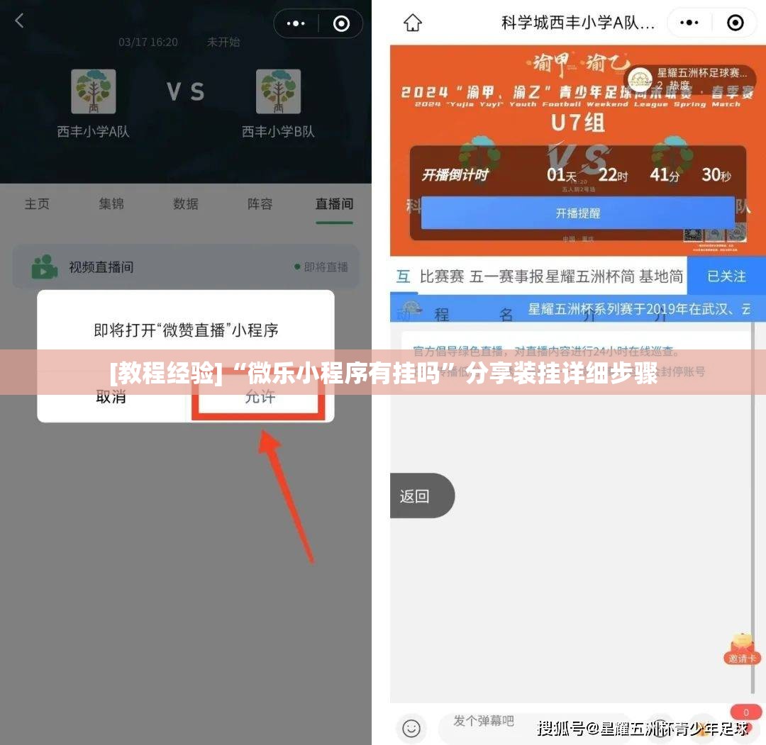 [教程经验]“微乐小程序有挂吗”分享装挂详细步骤