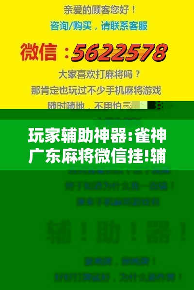 玩家辅助神器:雀神广东麻将微信挂!辅助神器插件下载 玩家辅助神器:雀神广东麻将微信挂!辅助神器插件下载