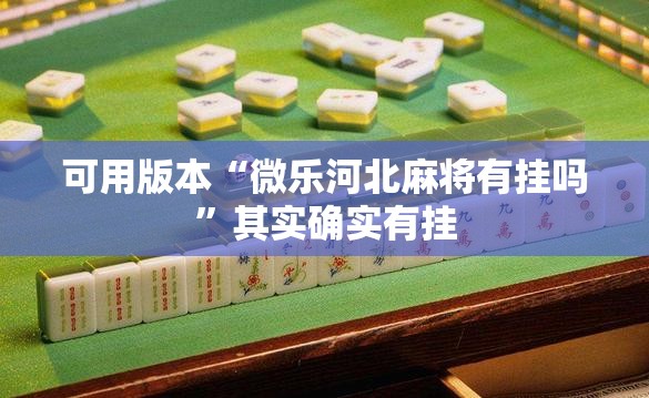 可用版本“微乐河北麻将有挂吗”其实确实有挂