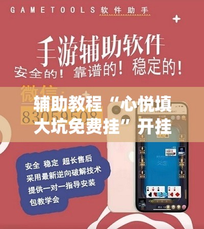 辅助教程“心悦填大坑免费挂”开挂(透视)辅助神器