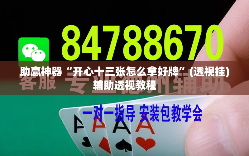 助赢神器“开心十三张怎么拿好牌”(透视挂)辅助透视教程