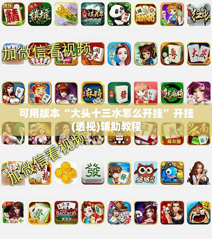 可用版本“大头十三水怎么开挂”开挂(透视)辅助教程