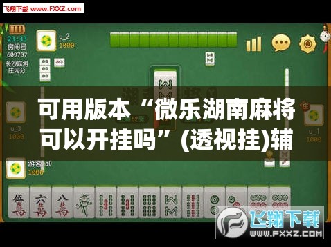可用版本“微乐湖南麻将可以开挂吗”(透视挂)辅助透视教程