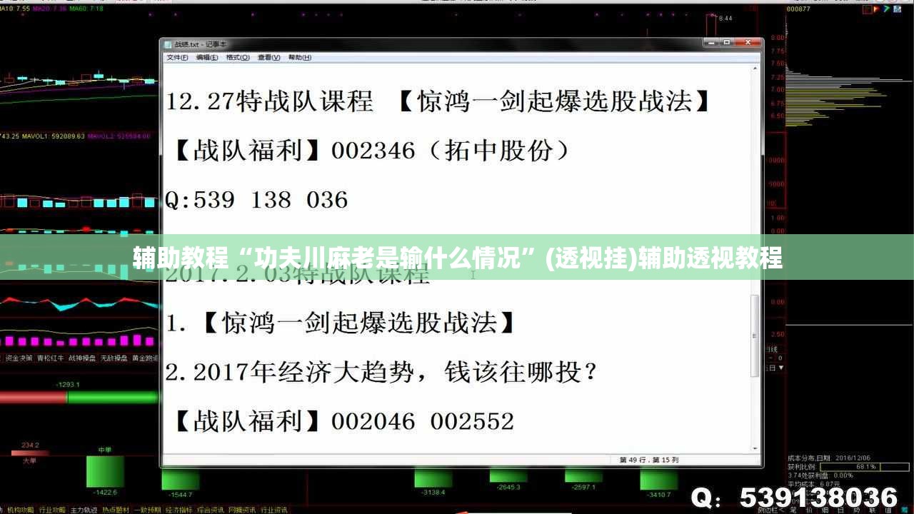 辅助教程“功夫川麻老是输什么情况”(透视挂)辅助透视教程