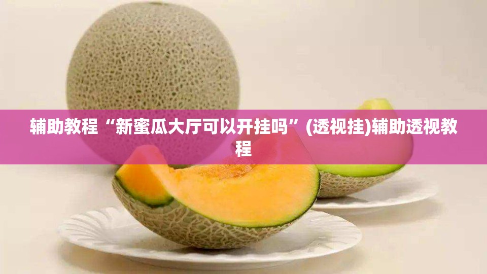辅助教程“新蜜瓜大厅可以开挂吗”(透视挂)辅助透视教程