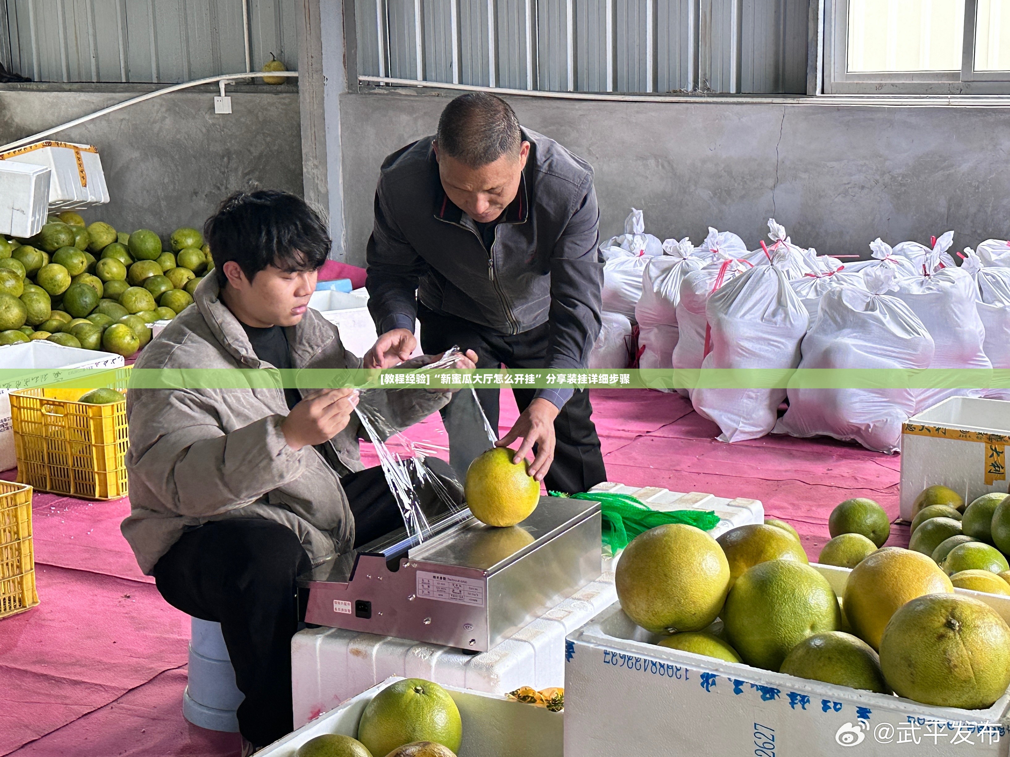 [教程经验]“新蜜瓜大厅怎么开挂”分享装挂详细步骤
