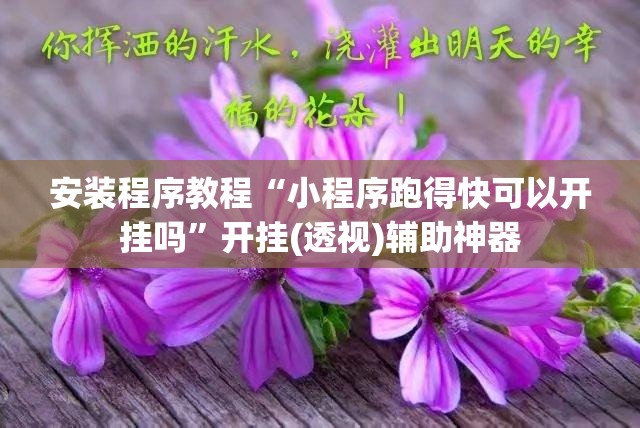 安装程序教程“小程序跑得快可以开挂吗”开挂(透视)辅助神器