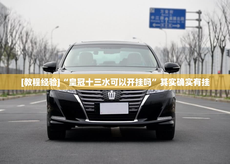 [教程经验]“皇冠十三水可以开挂吗	”其实确实有挂