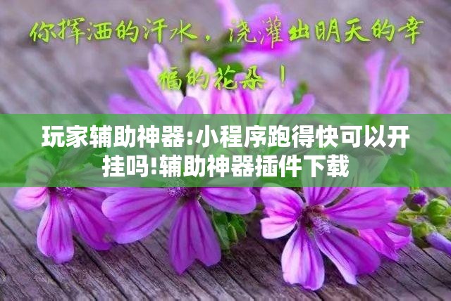 玩家辅助神器:小程序跑得快可以开挂吗!辅助神器插件下载 玩家辅助神器:小程序跑得快可以开挂吗!辅助神器插件下载