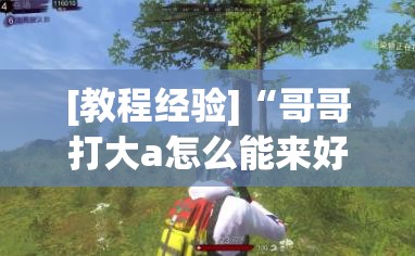 [教程经验]“哥哥打大a怎么能来好牌”开挂(透视)辅助教程