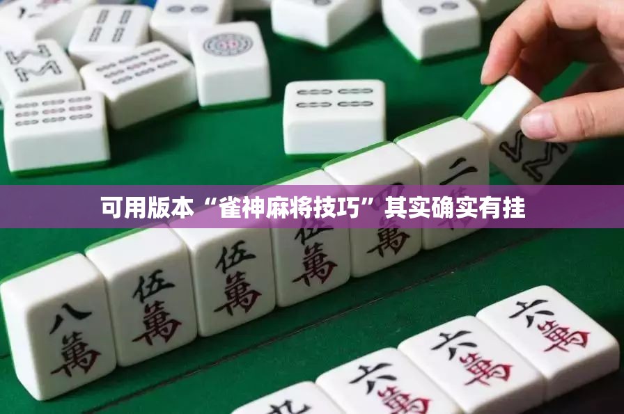 可用版本“雀神麻将技巧	”其实确实有挂