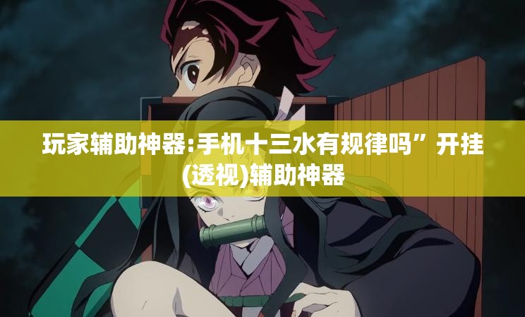 玩家辅助神器:手机十三水有规律吗	”开挂(透视)辅助神器