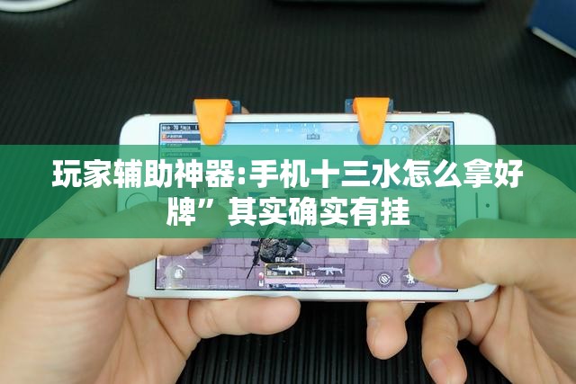 玩家辅助神器:手机十三水怎么拿好牌”其实确实有挂