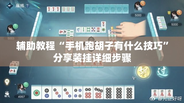 辅助教程“手机跑胡子有什么技巧	”分享装挂详细步骤