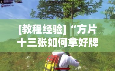 [教程经验]“方片十三张如何拿好牌”(透视挂)辅助透视教程