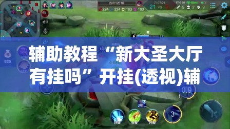 辅助教程“新大圣大厅有挂吗”开挂(透视)辅助神器