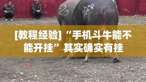 [教程经验]“手机斗牛能不能开挂”其实确实有挂