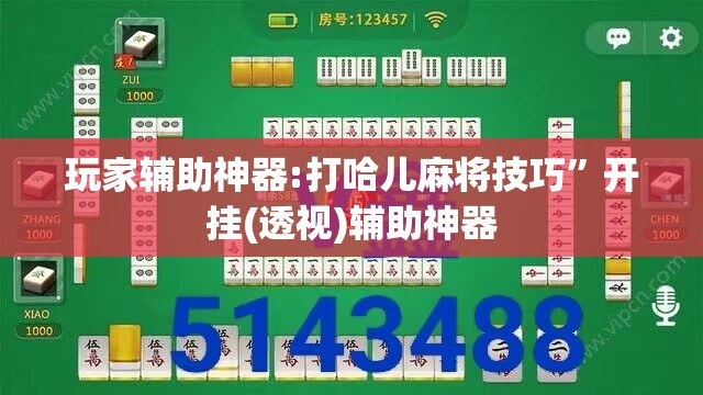 玩家辅助神器:打哈儿麻将技巧”开挂(透视)辅助神器