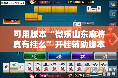 可用版本“微乐山东麻将真有挂么”开挂辅助脚本+详细开挂安装教程