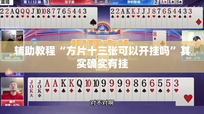 辅助教程“方片十三张可以开挂吗	”其实确实有挂