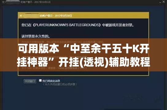 可用版本“中至余干五十K开挂神器”开挂(透视)辅助教程