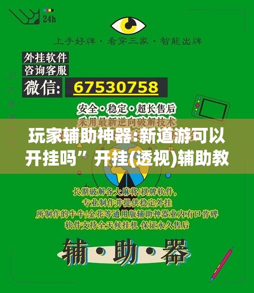 玩家辅助神器:新道游可以开挂吗”开挂(透视)辅助教程