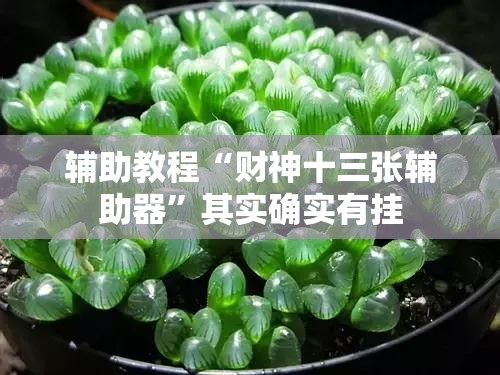 辅助教程“财神十三张辅助器	”其实确实有挂