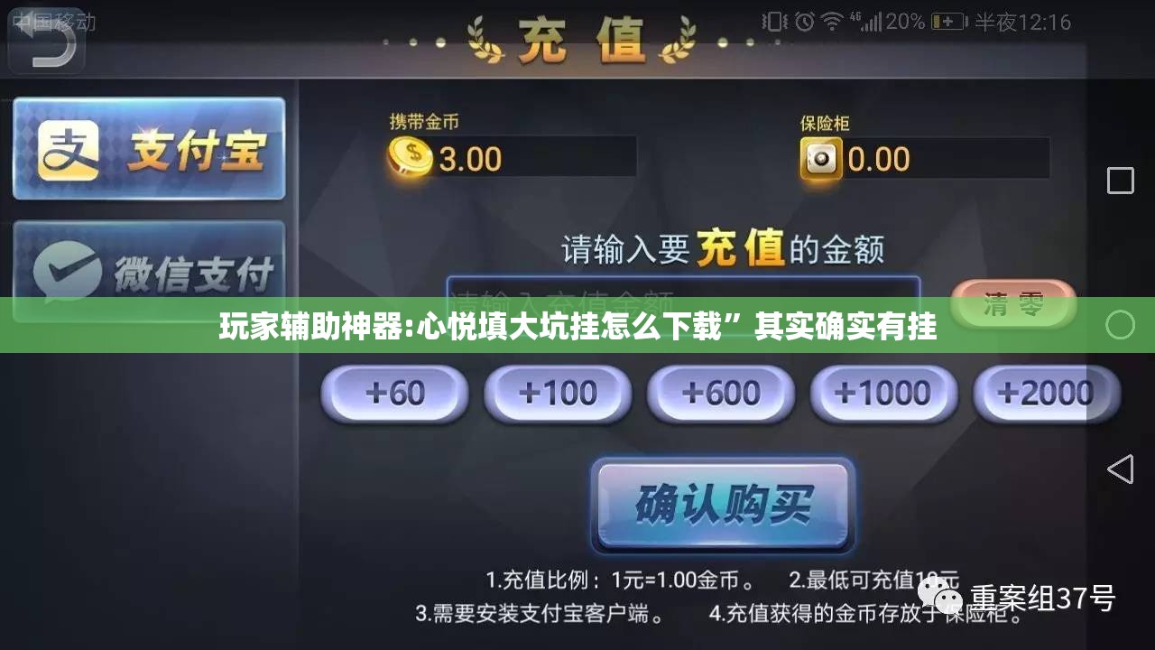 玩家辅助神器:心悦填大坑挂怎么下载”其实确实有挂