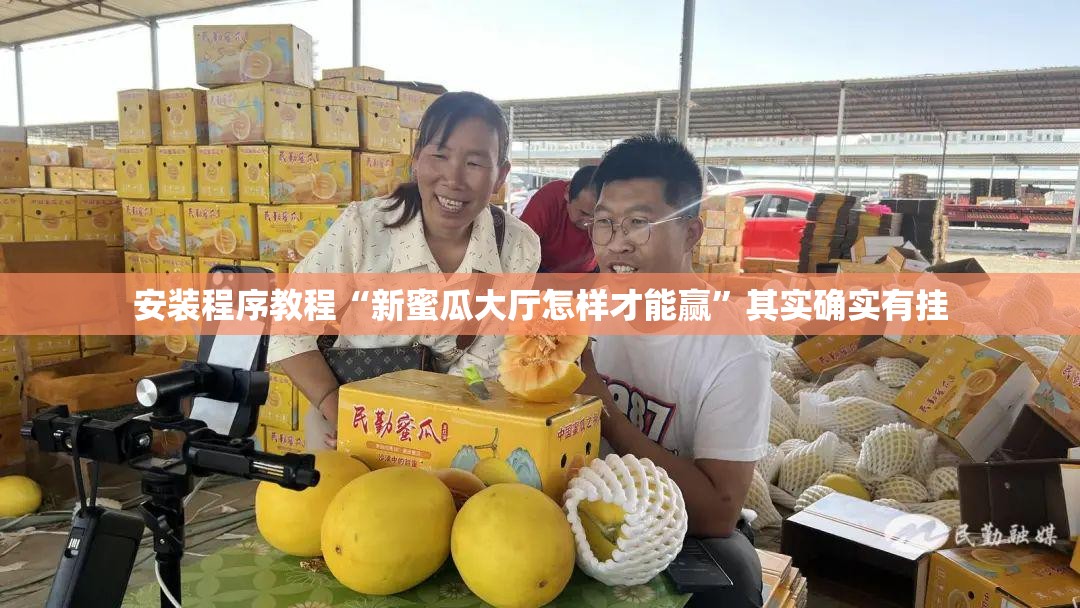 安装程序教程“新蜜瓜大厅怎样才能赢”其实确实有挂