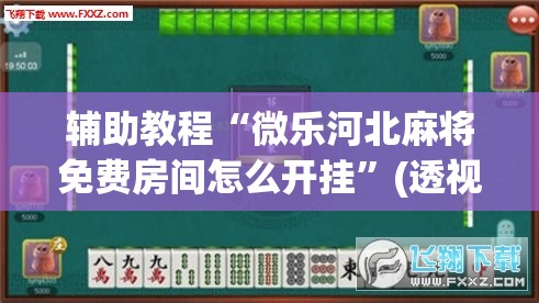 辅助教程“微乐河北麻将免费房间怎么开挂”(透视挂)辅助透视教程