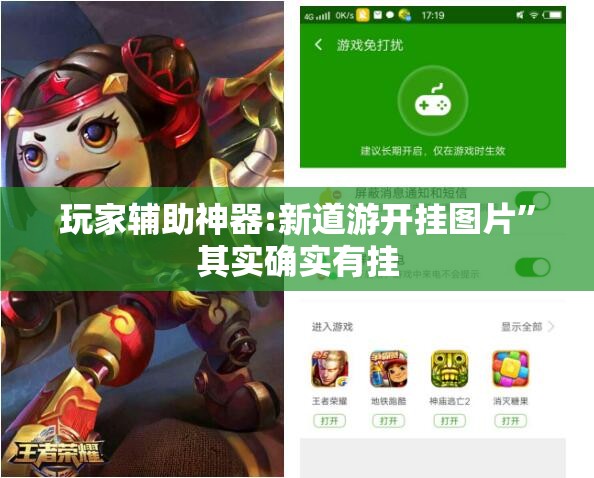 玩家辅助神器:新道游开挂图片	”其实确实有挂