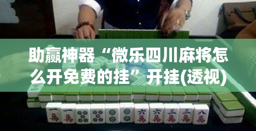 助赢神器“微乐四川麻将怎么开免费的挂	”开挂(透视)辅助教程