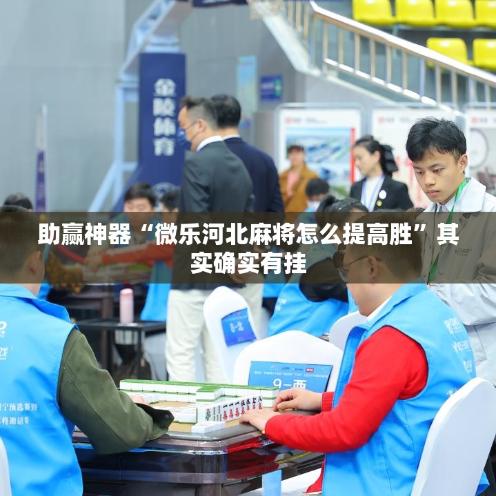 助赢神器“微乐河北麻将怎么提高胜”其实确实有挂