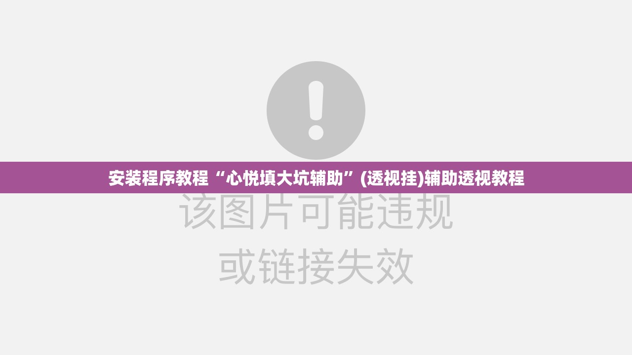 安装程序教程“心悦填大坑辅助	”(透视挂)辅助透视教程