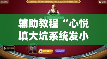 辅助教程“心悦填大坑系统发小牌的解决方法”分享装挂详细步骤