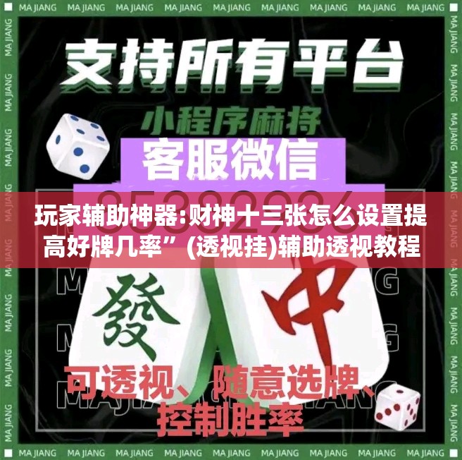 玩家辅助神器:财神十三张怎么设置提高好牌几率”(透视挂)辅助透视教程