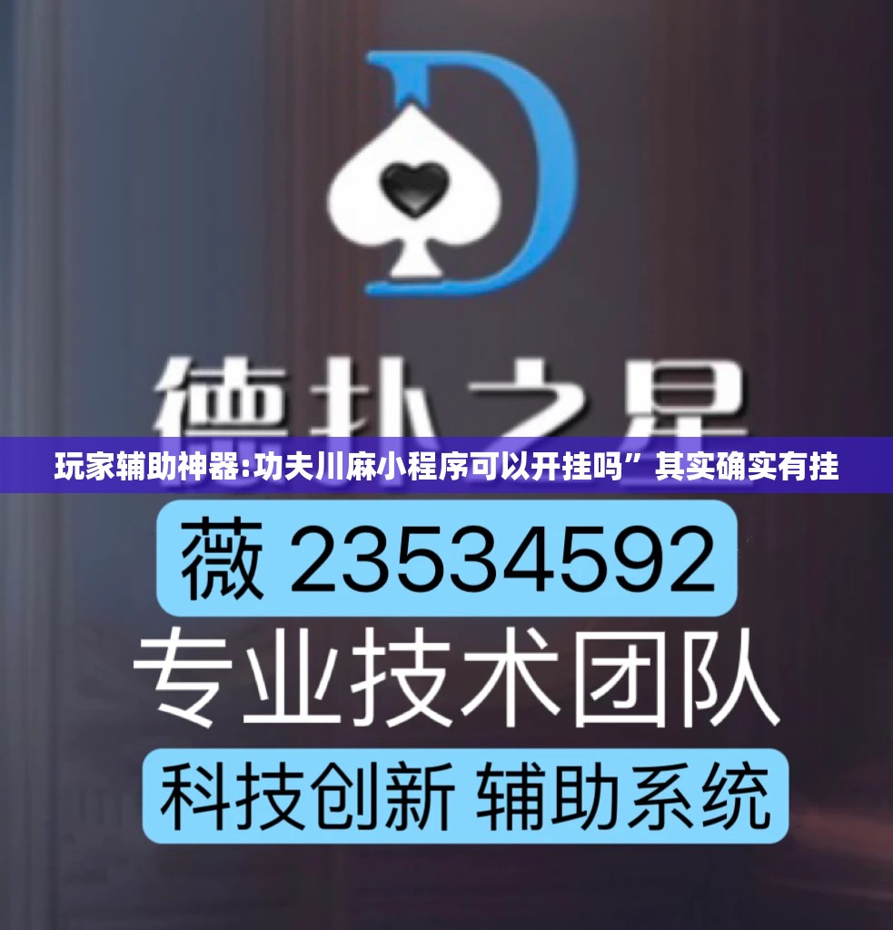 玩家辅助神器:功夫川麻小程序可以开挂吗	”其实确实有挂