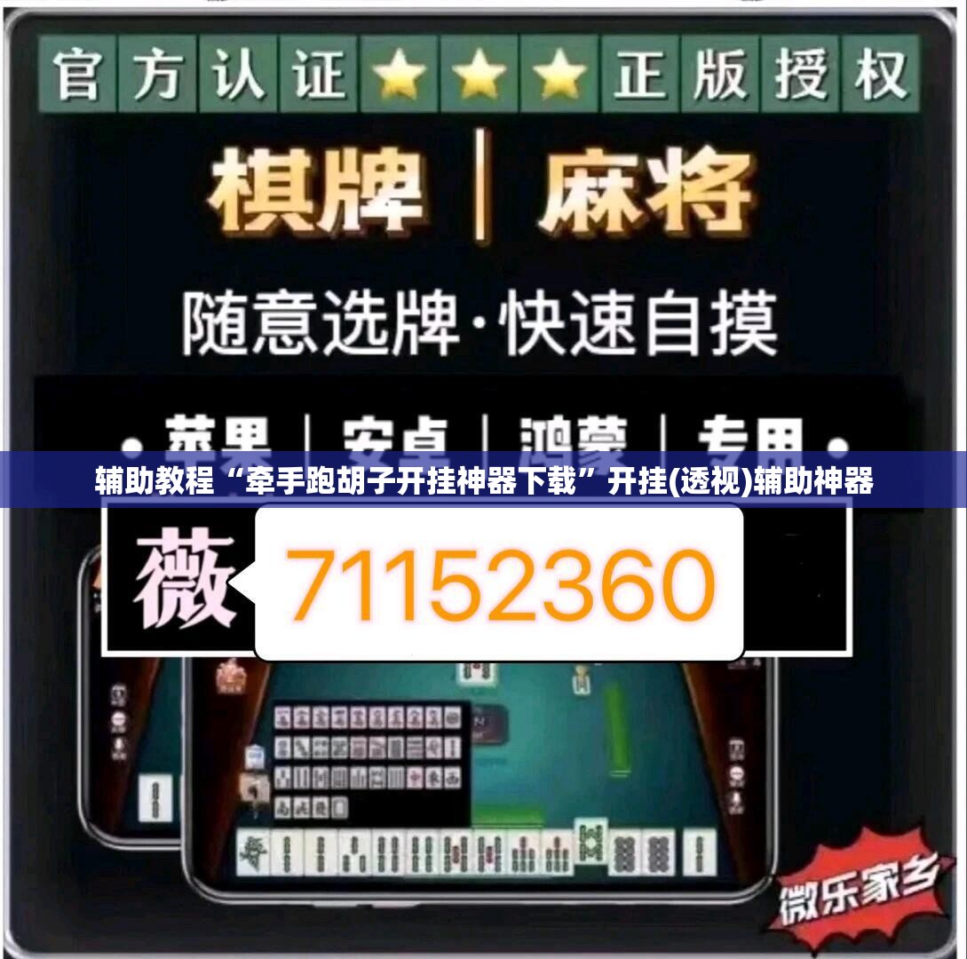 辅助教程“牵手跑胡子开挂神器下载	”开挂(透视)辅助神器