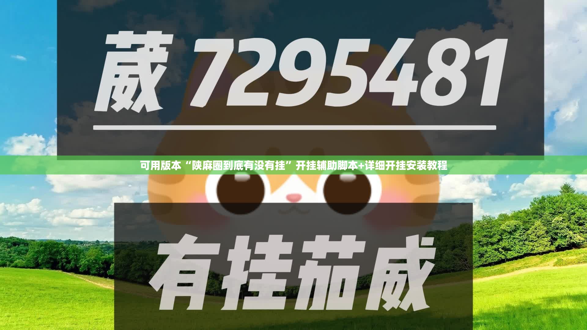 可用版本“陕麻圈到底有没有挂”开挂辅助脚本+详细开挂安装教程