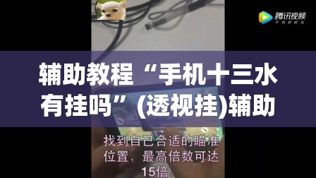 辅助教程“手机十三水有挂吗”(透视挂)辅助透视教程