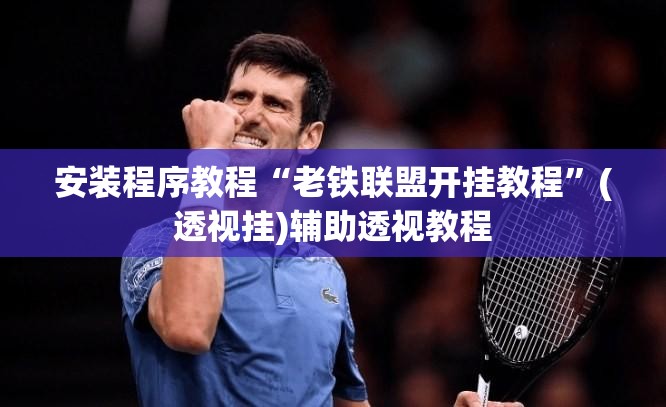安装程序教程“老铁联盟开挂教程”(透视挂)辅助透视教程