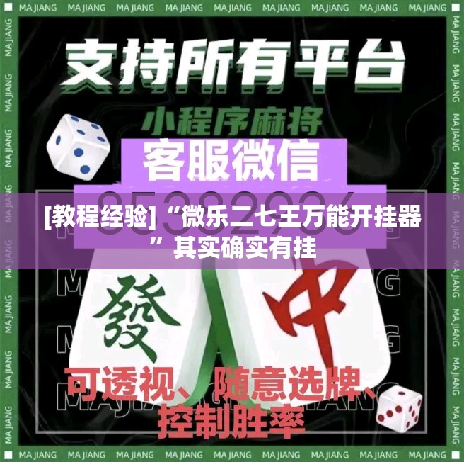 [教程经验]“微乐二七王万能开挂器”其实确实有挂